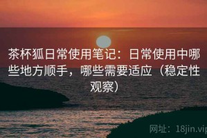 茶杯狐日常使用笔记：日常使用中哪些地方顺手，哪些需要适应（稳定性观察）