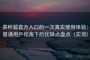 茶杯狐官方入口的一次真实使用体验：普通用户视角下的优缺点盘点（实测）