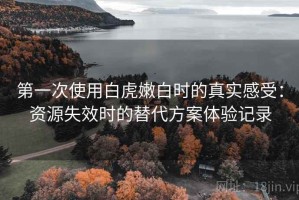 第一次使用白虎嫩白时的真实感受：资源失效时的替代方案体验记录