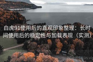 白虎91使用后的直观印象整理：长时间使用后的稳定性与加载表现（实测）