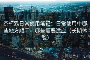 茶杯狐日常使用笔记：日常使用中哪些地方顺手，哪些需要适应（长期体验）