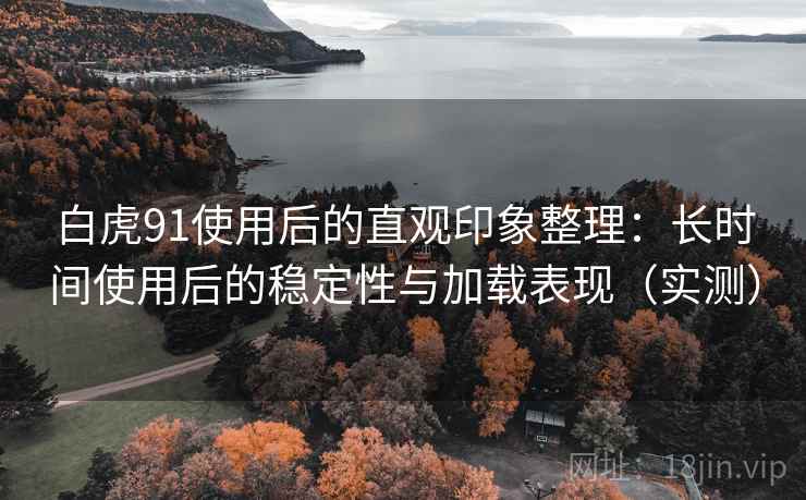 白虎91使用后的直观印象整理：长时间使用后的稳定性与加载表现（实测）