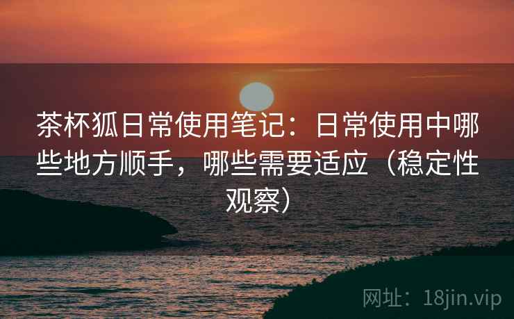 茶杯狐日常使用笔记：日常使用中哪些地方顺手，哪些需要适应（稳定性观察）