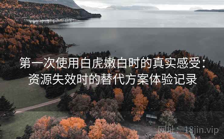 第一次使用白虎嫩白时的真实感受:资源失效时的替代方案体验记录 第一次使用白虎嫩白时的真实感受:资源失效时的替代方案体验记录