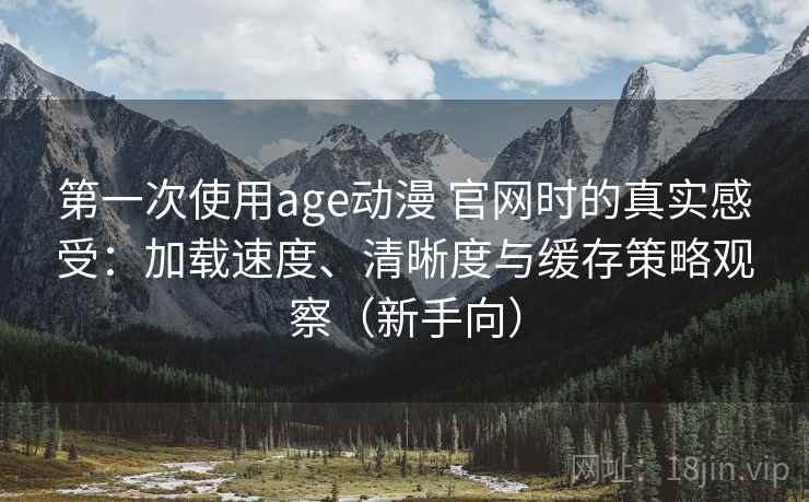 第一次使用age动漫 官网时的真实感受：加载速度、清晰度与缓存策略观察（新手向）