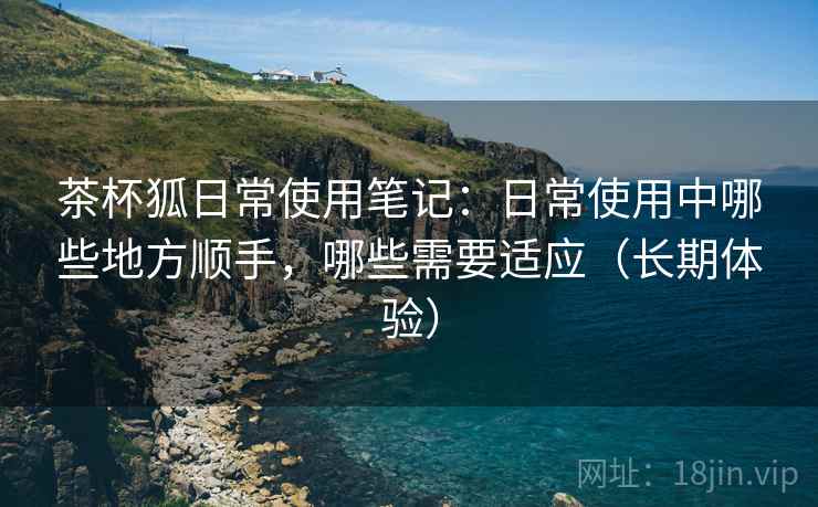 茶杯狐日常使用笔记：日常使用中哪些地方顺手，哪些需要适应（长期体验）